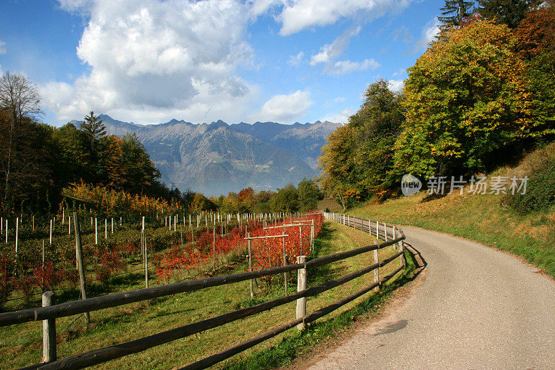 乡村公路和葡萄园，以群山为背景