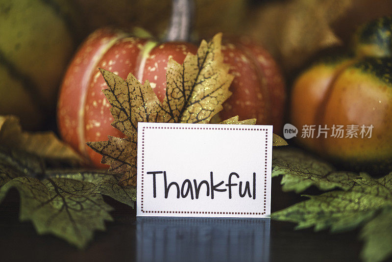 用南瓜，树叶和感谢的信息来安排感恩节的秋天