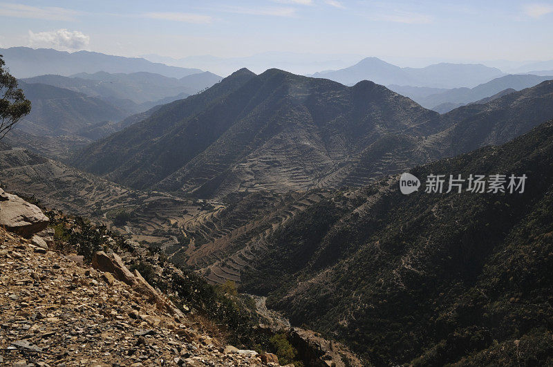 从阿斯马拉到马萨瓦的道路景观，厄立特里亚