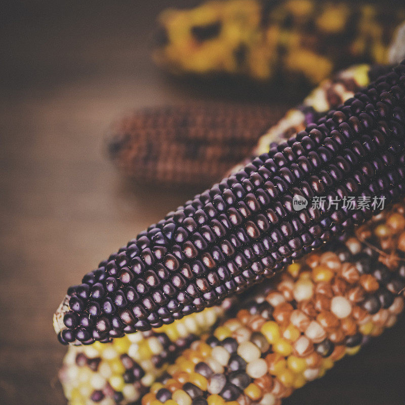 在乡村木质背景上的印第安玉米。感恩节和秋季装饰