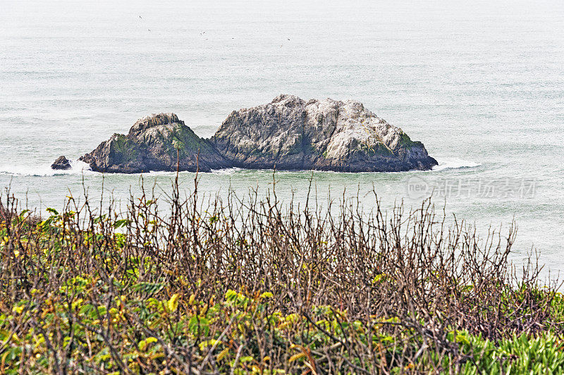 海豹岩石西部边缘旧金山与鸟在空中