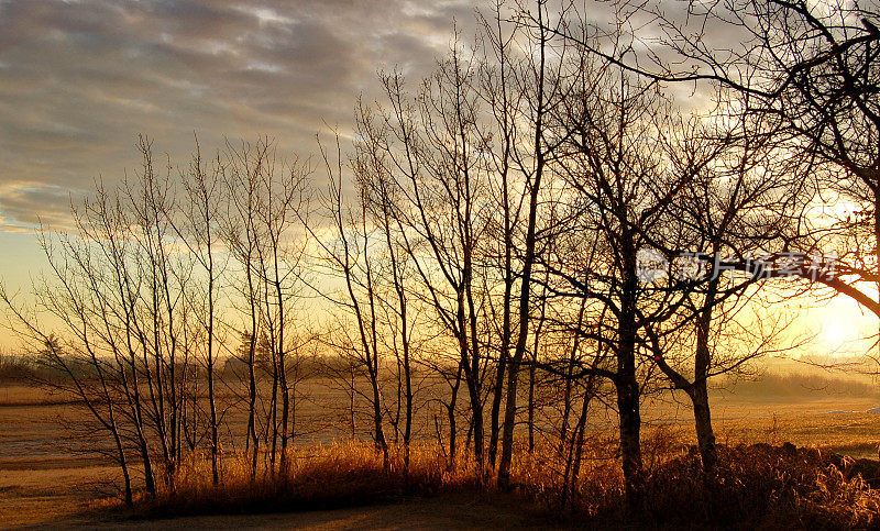 深秋金色的日出在田野上
