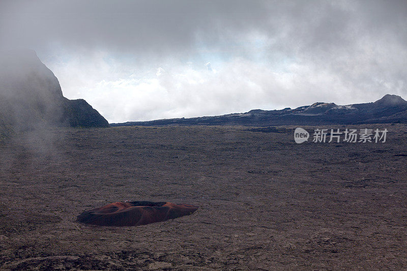 福克圈地里的福米卡·利奥