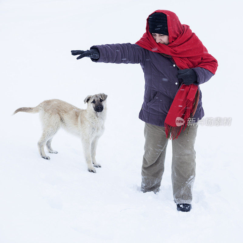 老妇人在雪中训练小狗