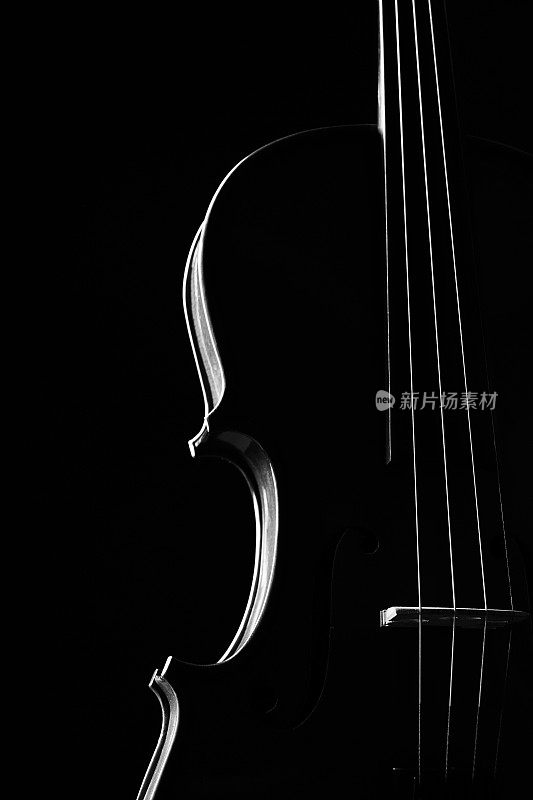 古典乐器小提琴的特写。弦乐器小提琴孤立在黑色背景与拷贝空间。