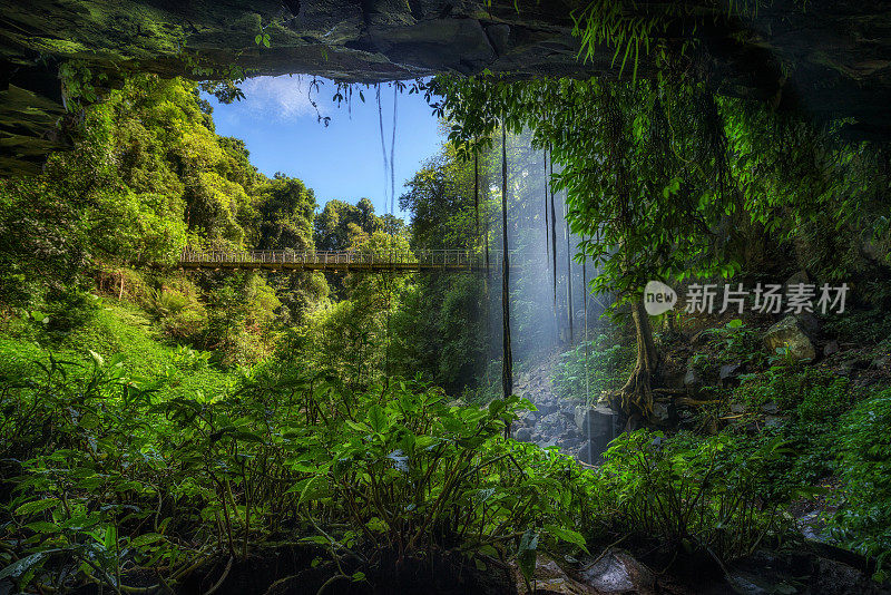 澳大利亚多里戈国家公园热带雨林中的人行桥和水晶瀑布