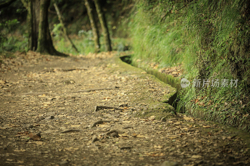 在马德拉岛徒步旅行