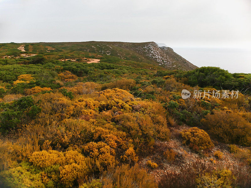 希斯海岸景观