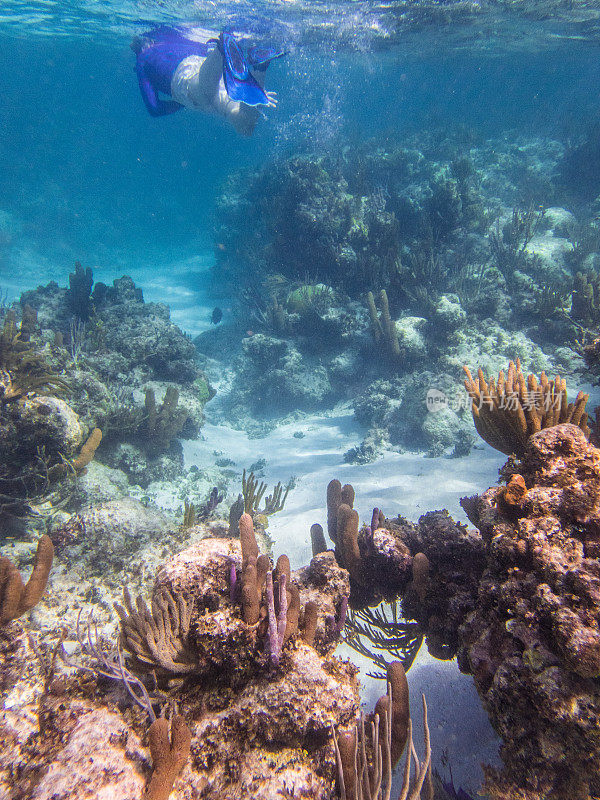 珊瑚礁拱形与浮潜