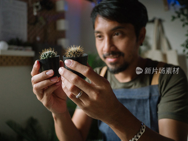 时髦的亚洲男人在家给室内植物浇水