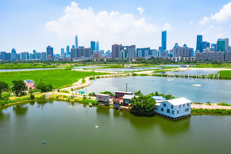 无人机拍摄的香港乡村绿地和鱼塘以及深圳的天际线