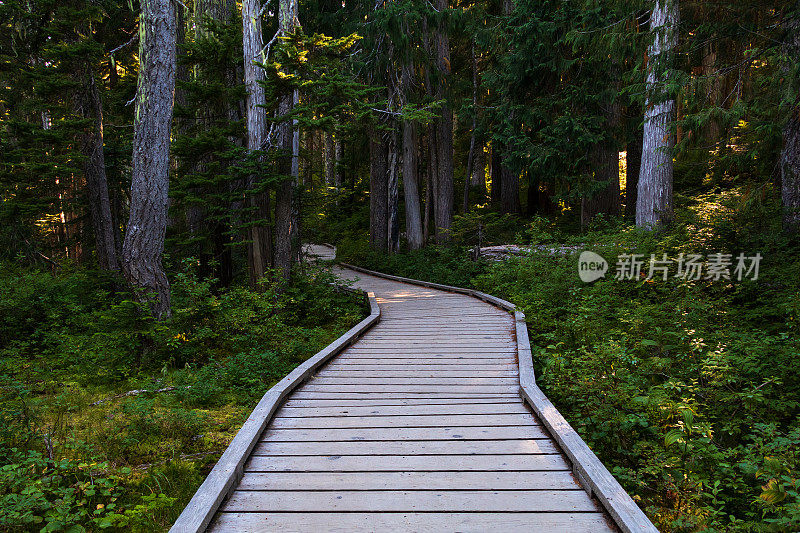 华盛顿山禁止高原木板路