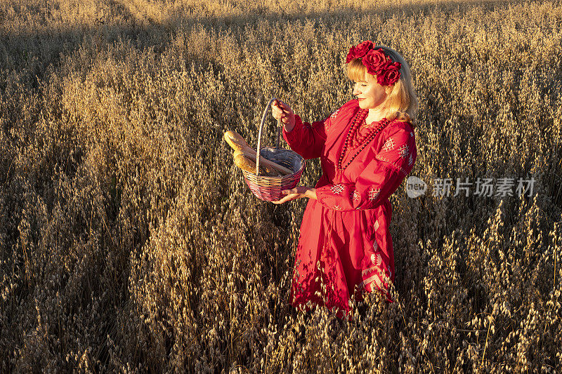 一个白人女孩，穿着红色的裙子，头上戴着花环。这个女孩拿着一个柳条篮子，里面装着新鲜的面包。燕麦地里的女孩。日落。