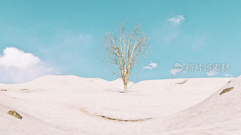 冬天，在白雪覆盖的草地上，有棵孤独的树