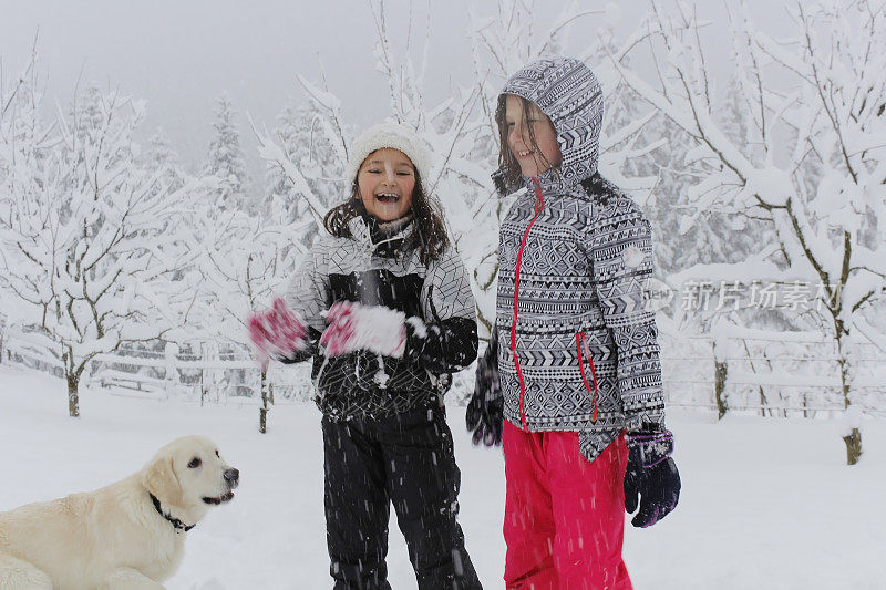 女孩们带着狗在雪地里玩得很开心