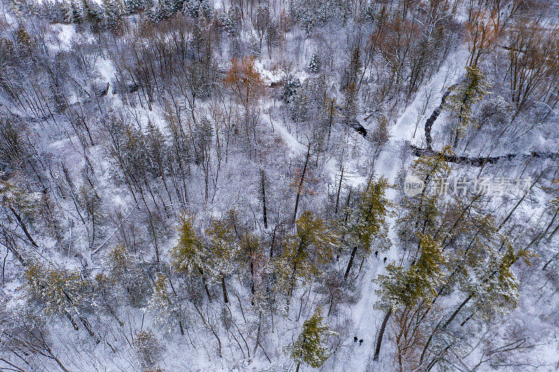 鸟瞰图的米尔池塘公园在里士满山在冬天，安大略省，加拿大