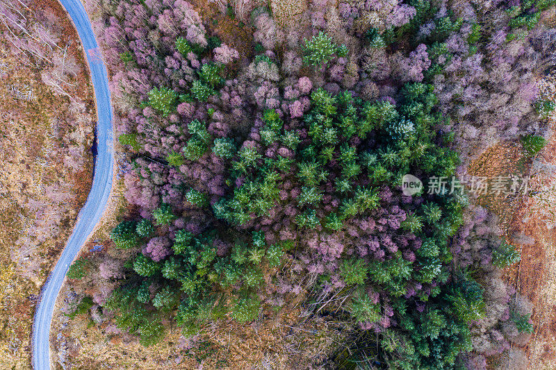 苏格兰森林公路的鸟瞰图