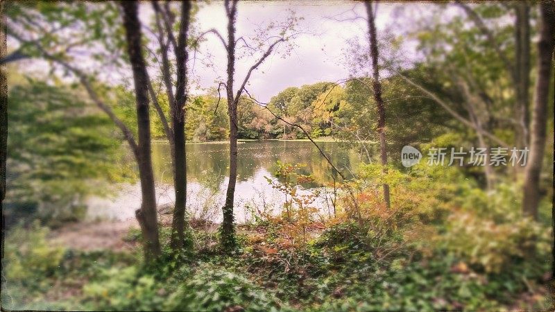 带有池塘的复古风格公园场景