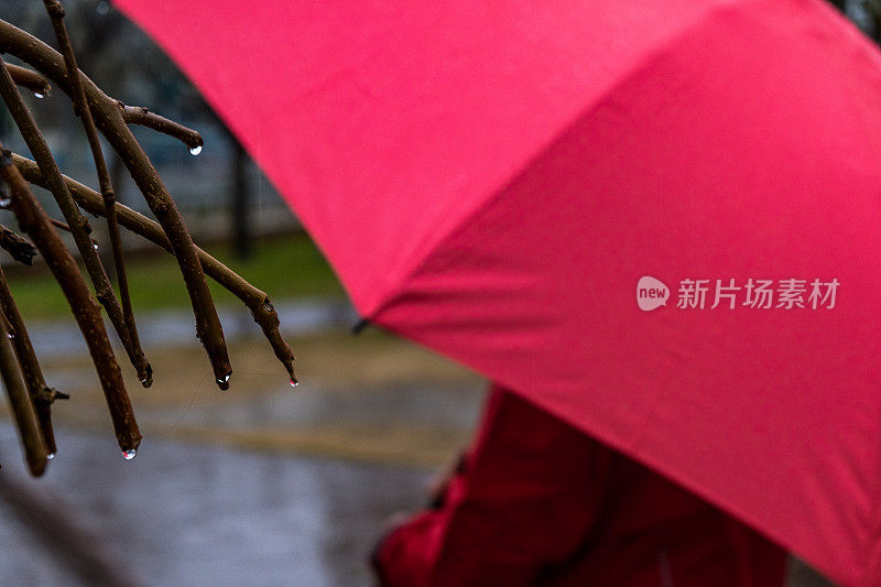 一个人撑着一把红伞在雨天行走