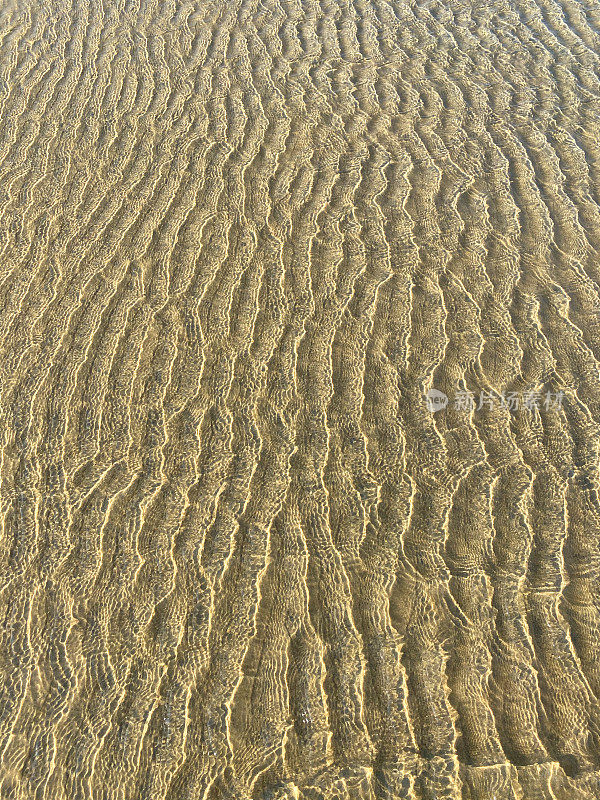 沙滩上的沙涟漪