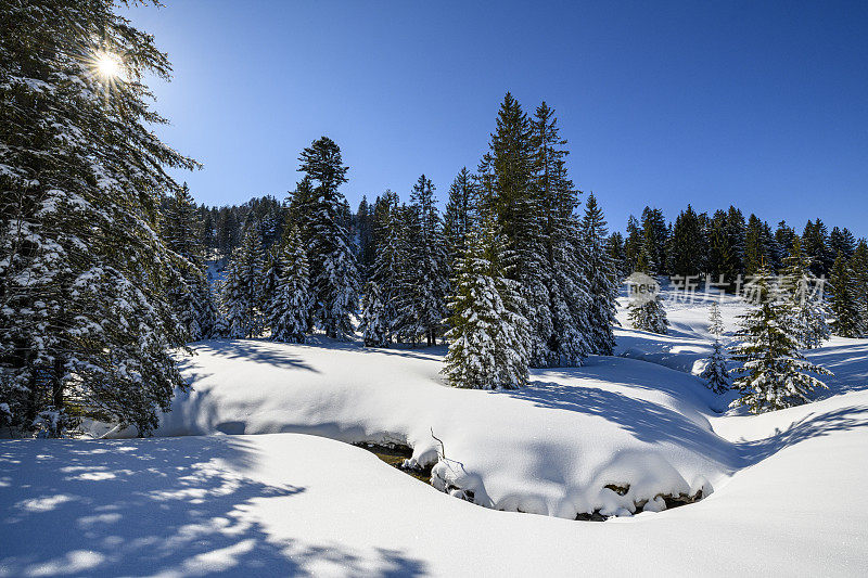 冬季的景观有白雪覆盖的森林和一条小河