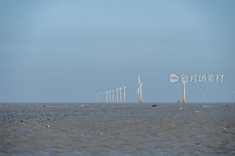 在大海中央有一排整齐的风力涡轮机