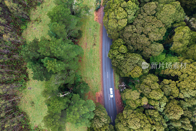 澳大利亚维多利亚州森林乡村公路的航拍