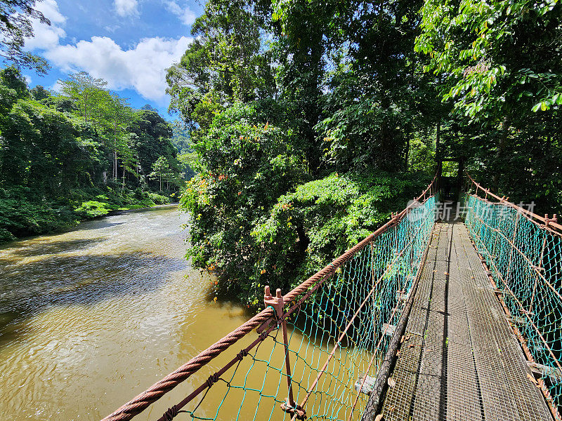 达纳姆河和达纳姆河谷雨林吊桥的景观