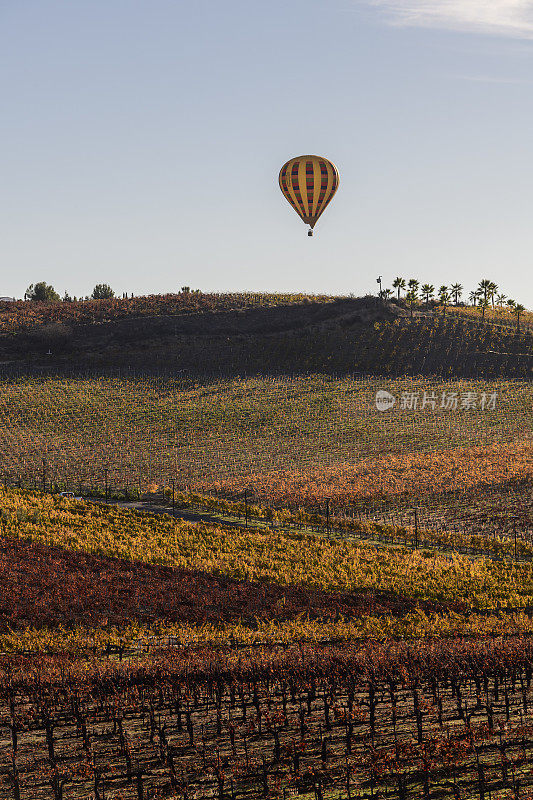热气球漂浮在秋天五颜六色的葡萄园，加利福尼亚