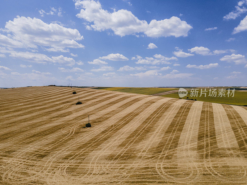 阳光明媚的一天，从空中俯瞰肥沃的耕地。