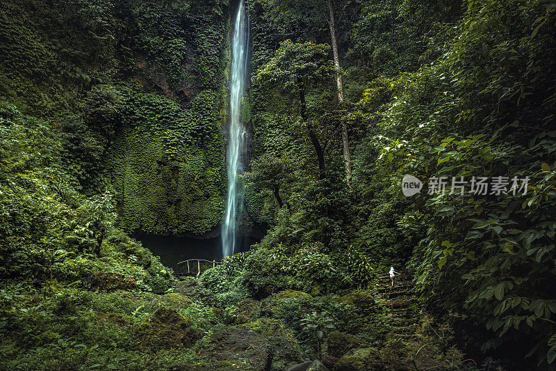 美丽茂盛的绿色热带森林丛林风景，岩石拱顶覆盖着茂盛的树叶植物和印度尼西亚巴厘岛的Banyumala瀑布