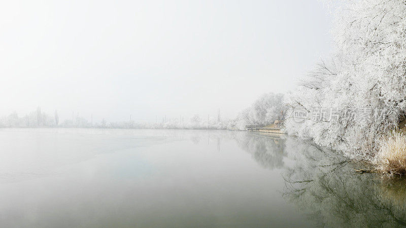 覆盖着霜雪的树枝悬挂在一条河上——雾蒙蒙的冬日风景