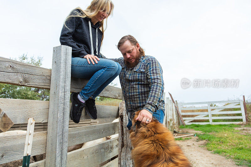 夫妇户外在美国西部农村农民广告农场农业牲畜和人照片系列