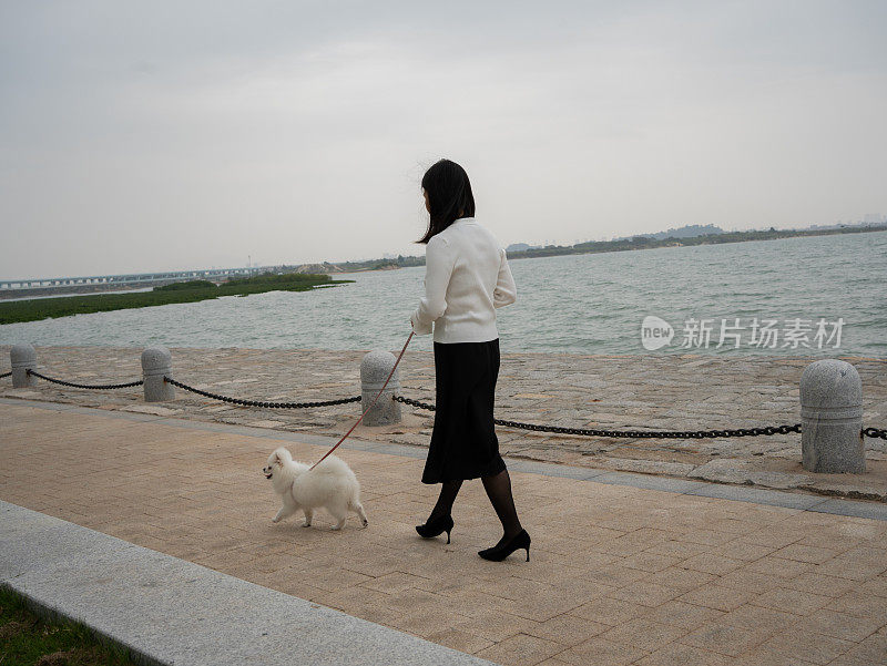 一个女人带着她的狗在海边散步