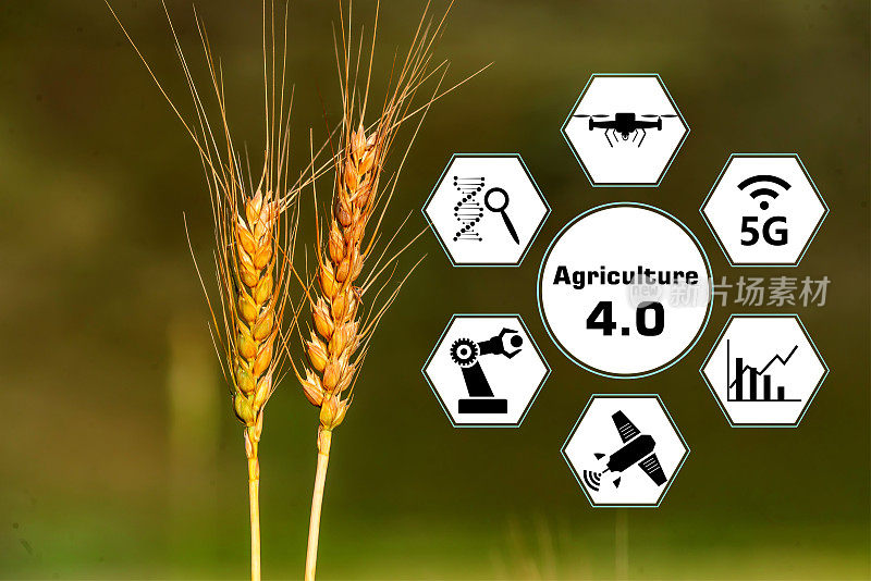 智慧农业4.0概念。农业生产。