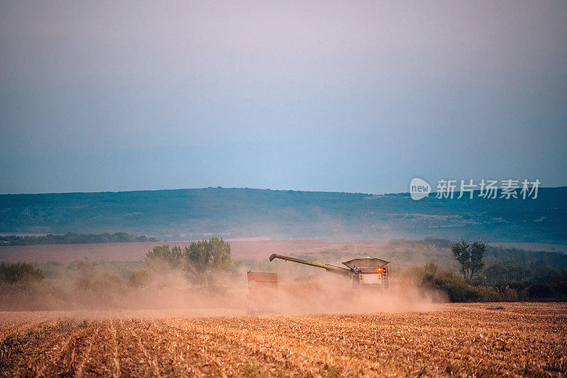 农用联合收割机将收获的玉米卸到拖拉机上的后视图