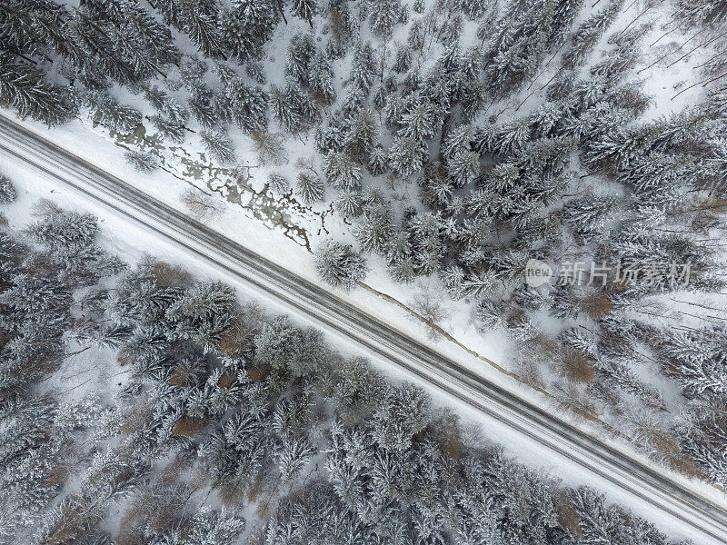 从空中俯瞰，一条笔直的道路穿过波兰山区一片白雪覆盖的森林