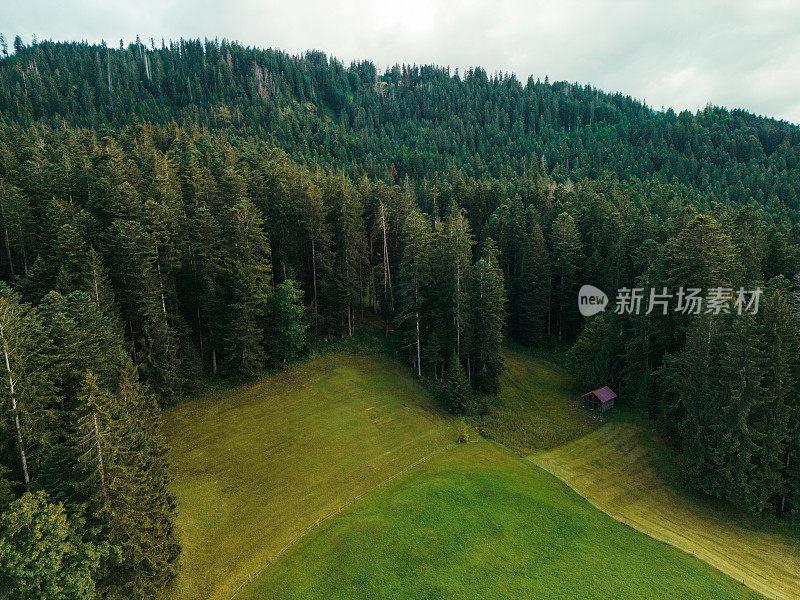 鸟瞰森林环绕的山间草地上的小屋