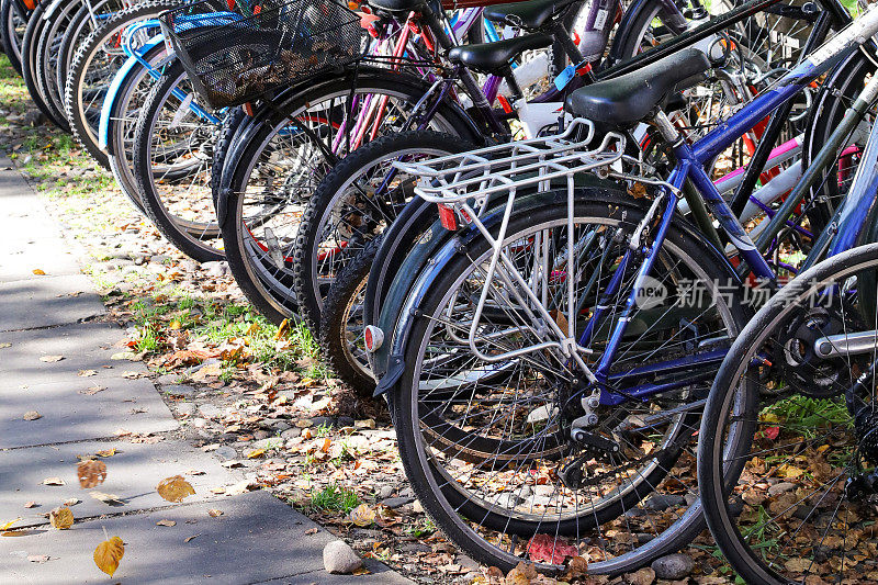 剑桥的一排自行车