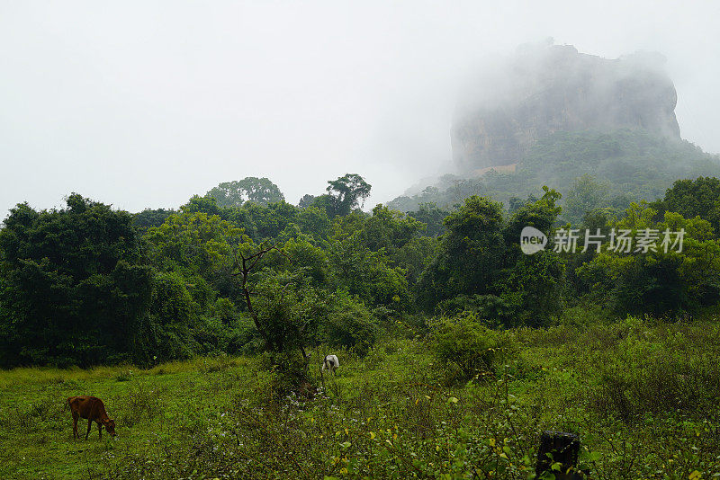 锡吉里亚:狮子山