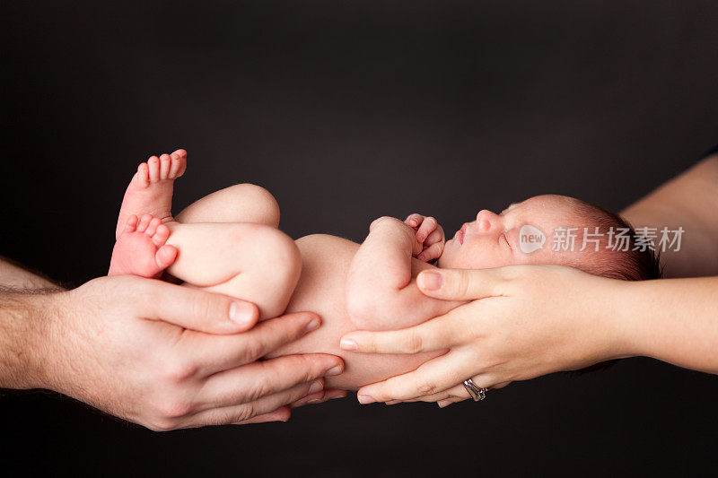 父亲和母亲的手抱着新生的婴儿