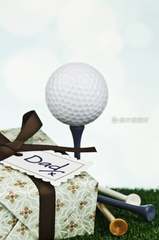 父亲节或给高尔夫球手的生日礼物