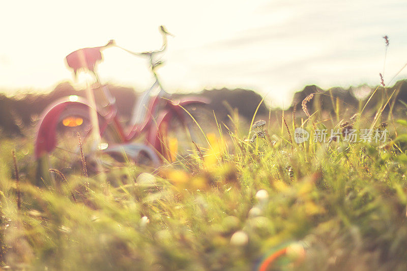 夏日草地上的一辆红色自行车
