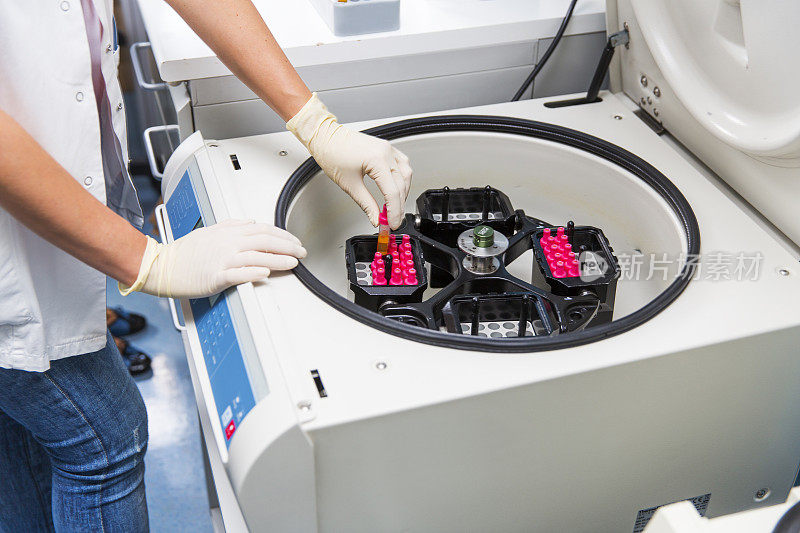 实验室科学家将装有血液样本的试管放在离心机中