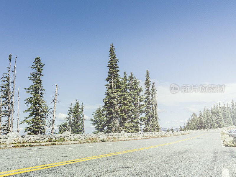 通往雷尼尔山的蜿蜒道路