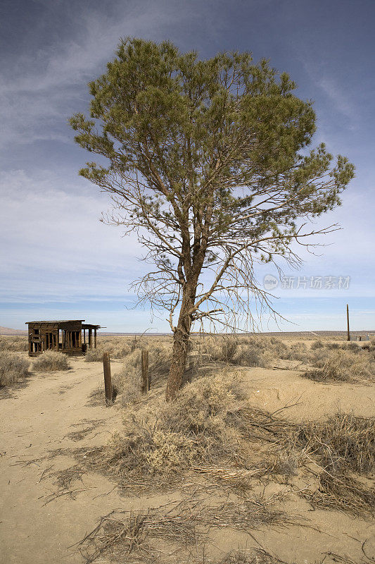 沙漠中的小木屋