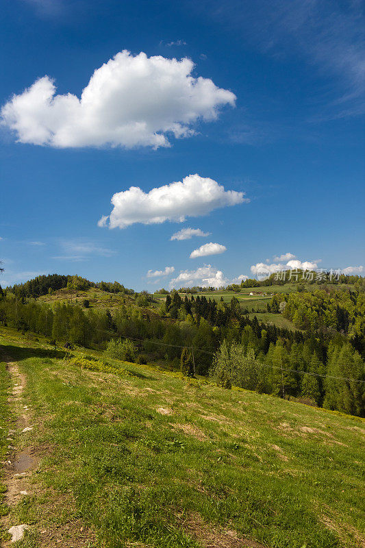 五月的山景。Beskid,波兰。