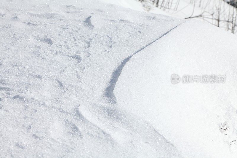 冬天的风景与雪在黑森林