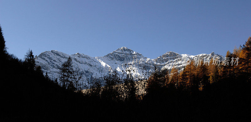 瑞士阿尔卑斯山