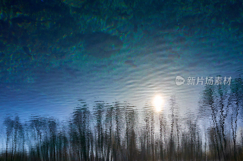 模糊的树木太阳在湖透明清澈的蓝色水面